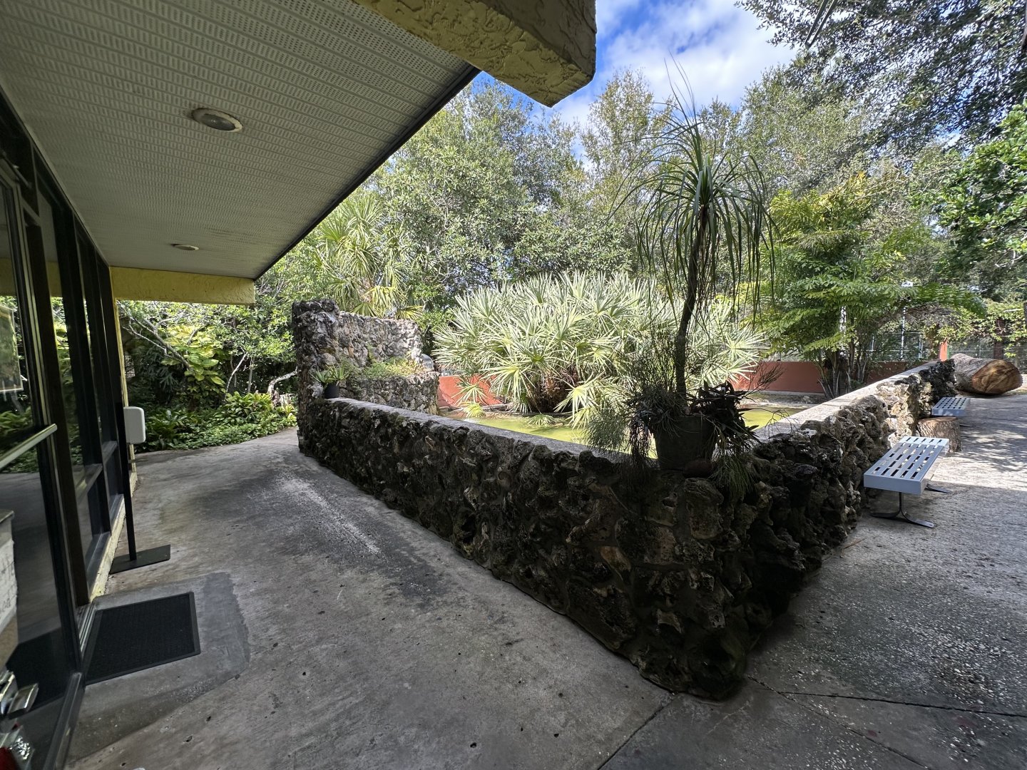 Nov. 2025 - Turtle Pond - Overview (1)