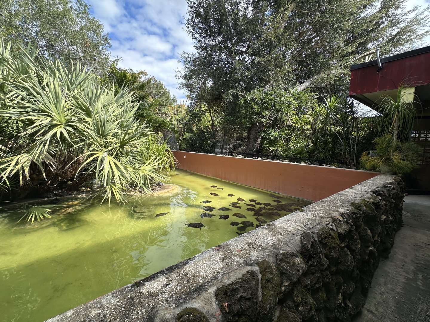 Nov. 2025 - Turtle Pond - Overview (2)