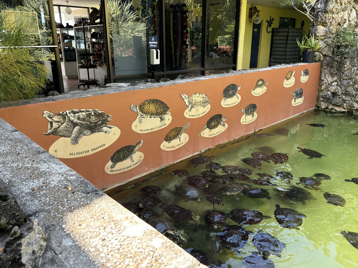 Nov. 2025 - Turtle Pond - Species Signage