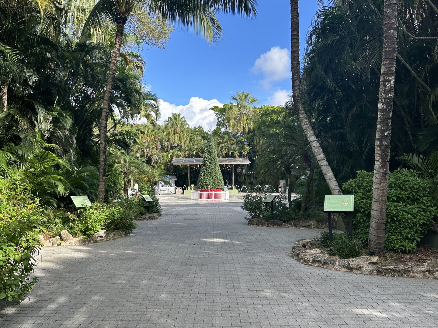 Nov. 2025 - View towards Main Plaza