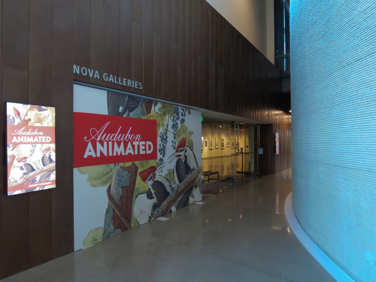 Nova Galleries - Changing Exhibitions