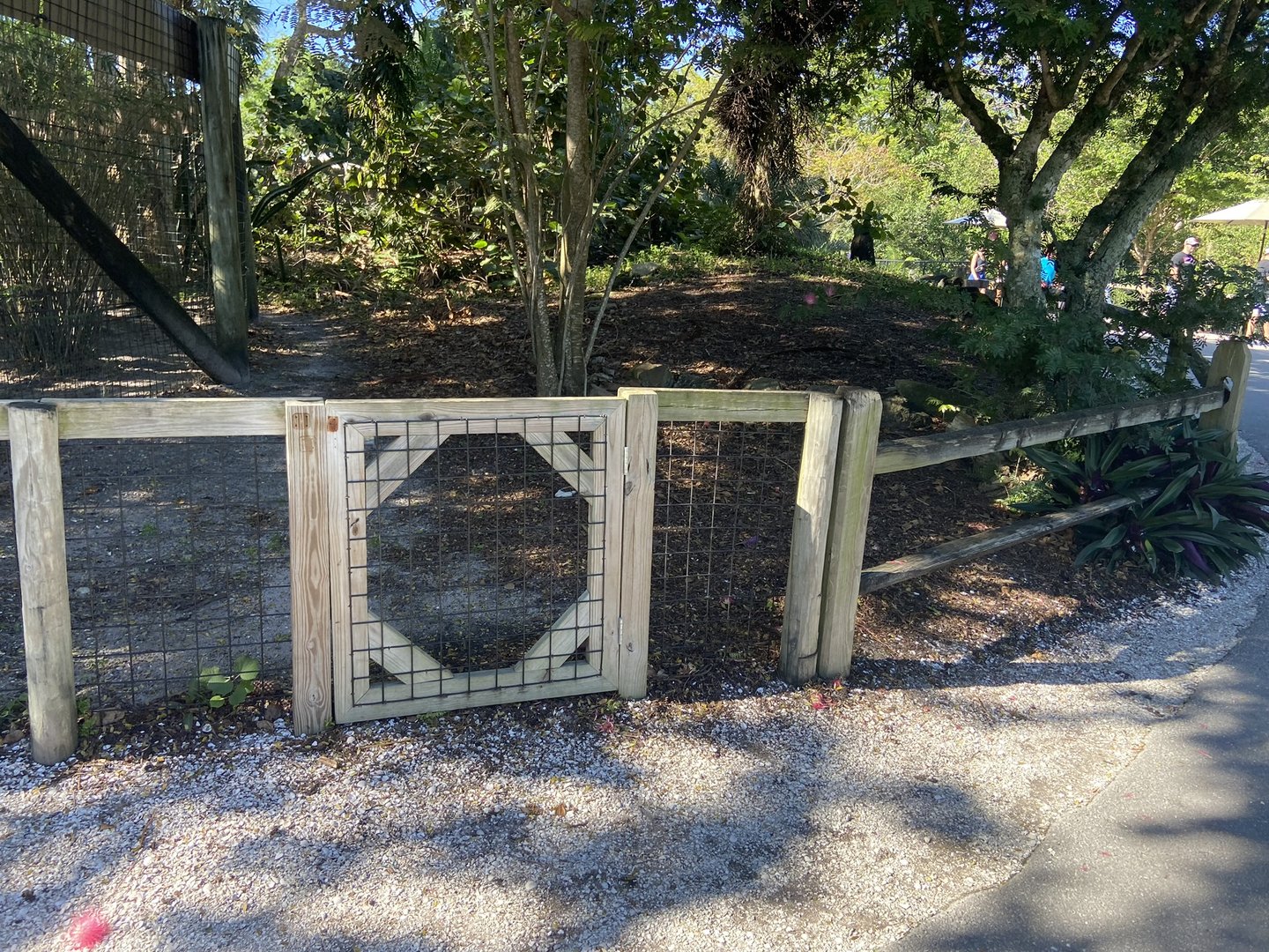 November 2022 - Fencing