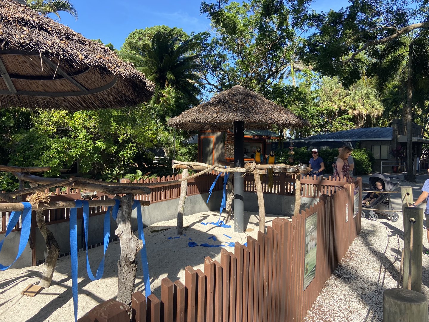 November 2022 - Macaw Landing