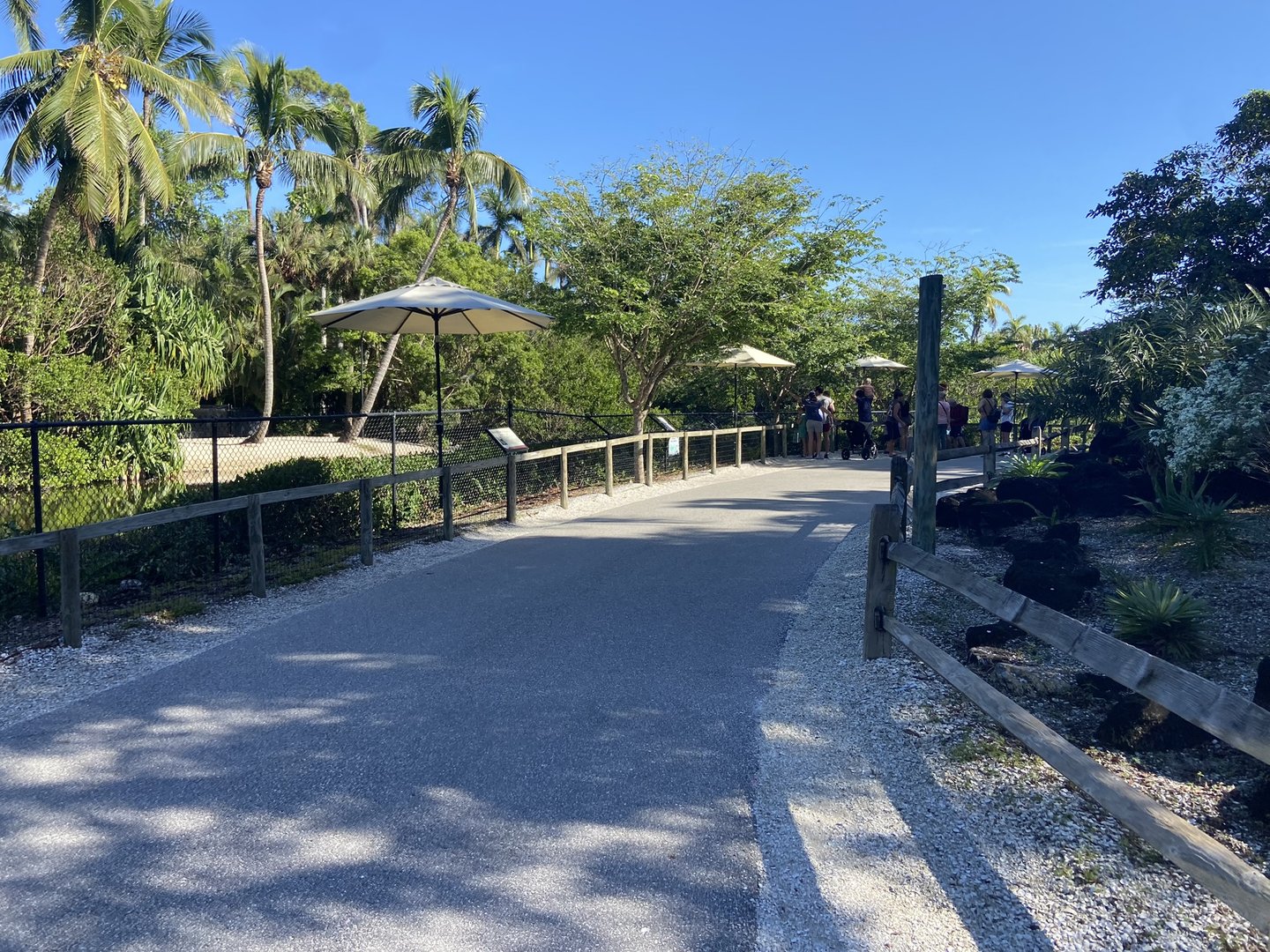 November 2022 - Main Pathway