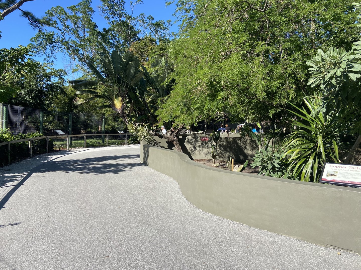 November 2022 - Main Pathway