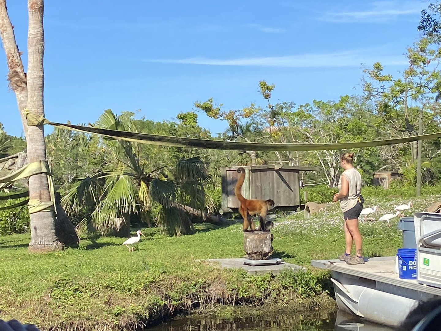 November 2022 - Primate Islands