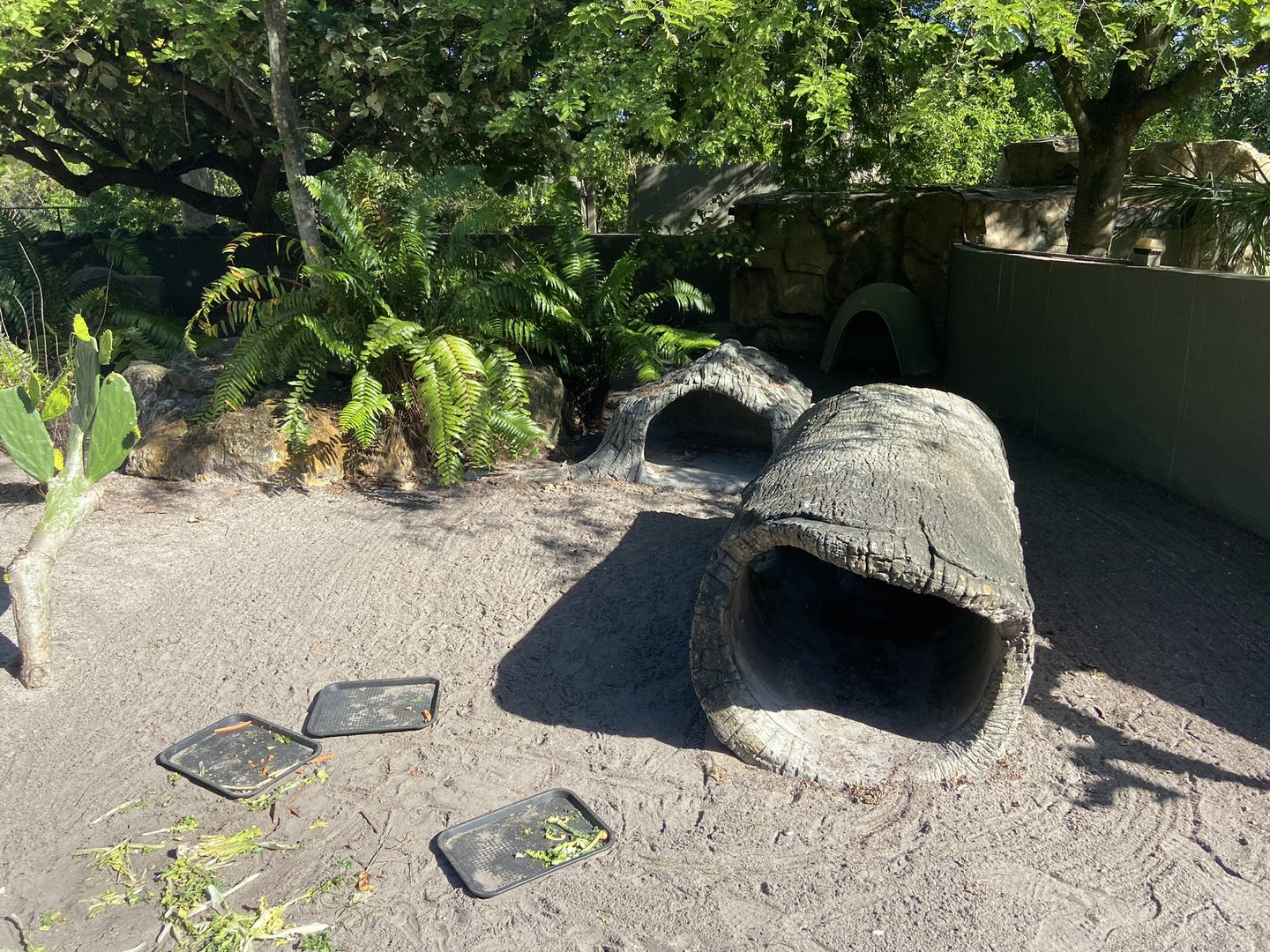 November 2022 - Tortoise Habitat