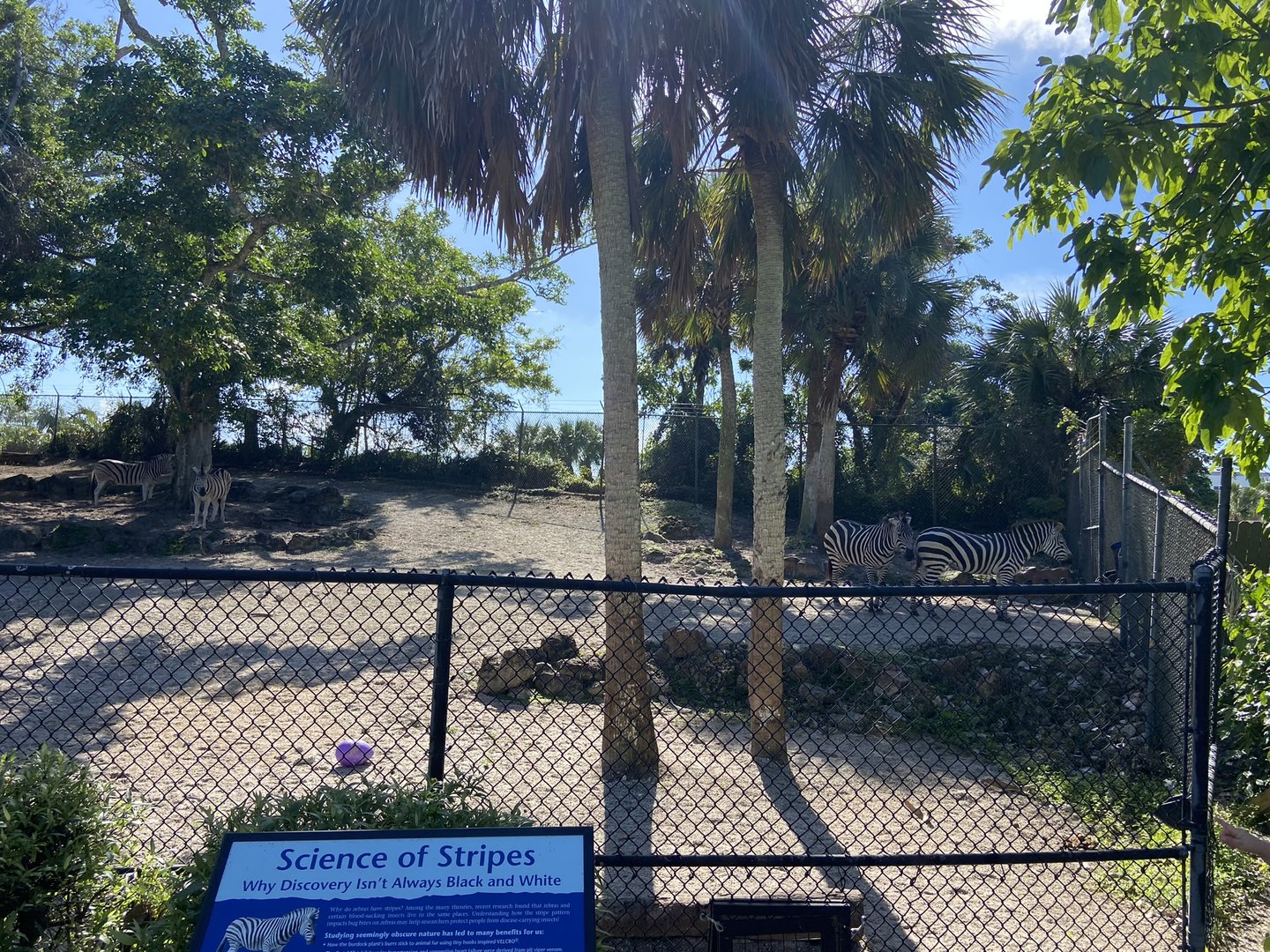 November 2022 - Zebra Habitat