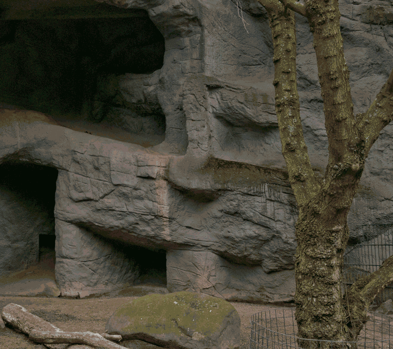 Now and then: Tiger-Cave