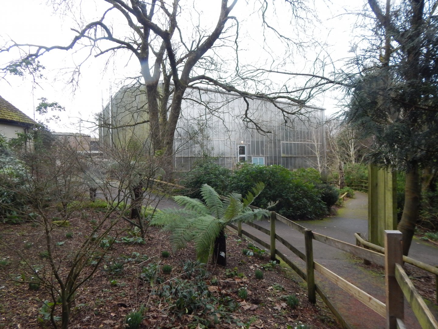 Now closed Crocodile Swamp 050224