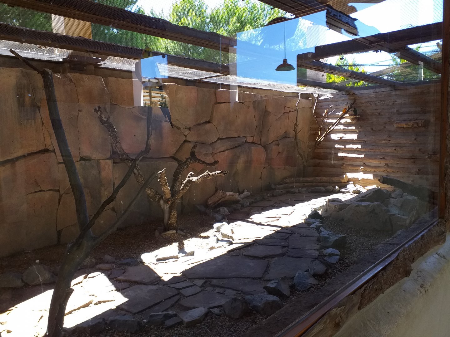 Now empty Common genet exhibit -Sendaviva (2020)