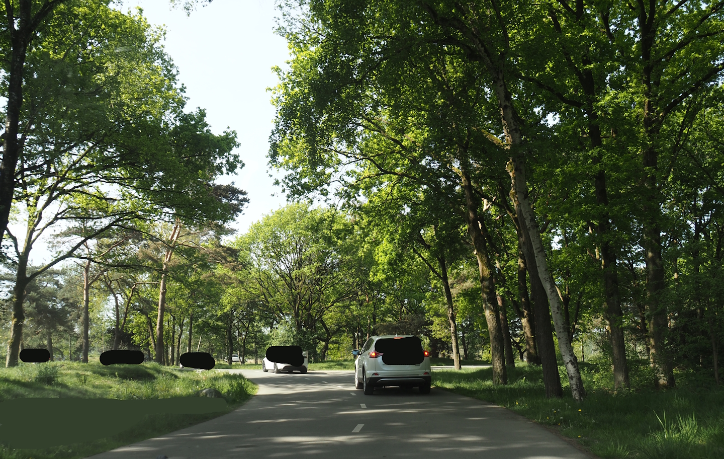Now gone cheetah drive-through on the car safari, 2025-04-30