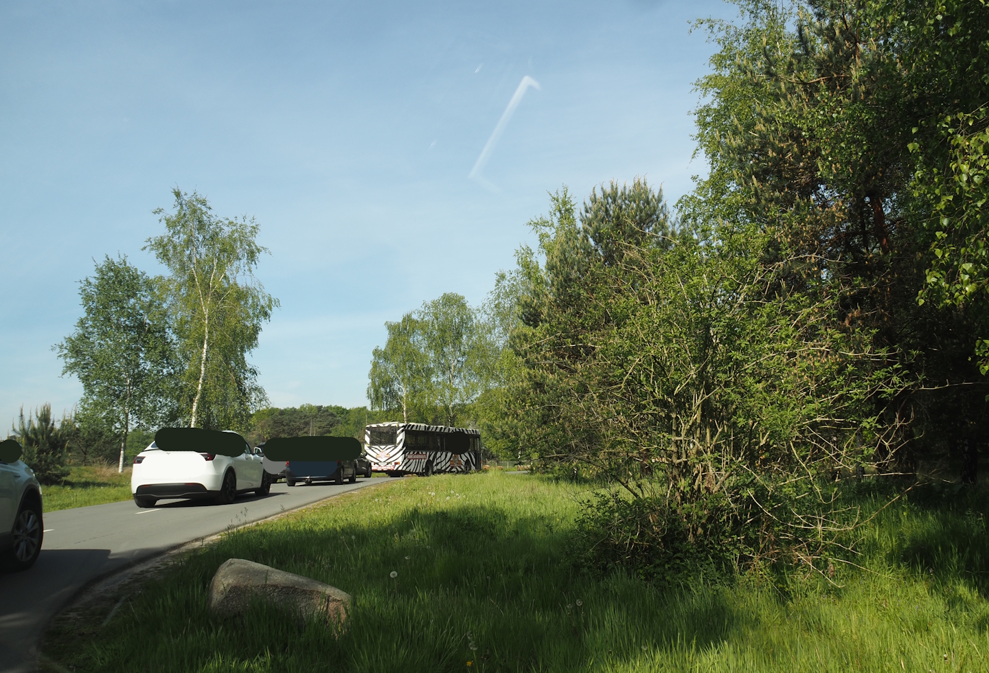 Now gone cheetah drive-through on the car safari, 2025-04-30