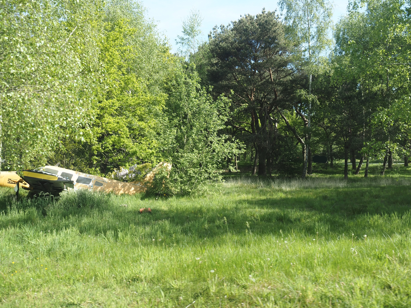 Now gone cheetah drive-through on the car safari, 2025-04-30