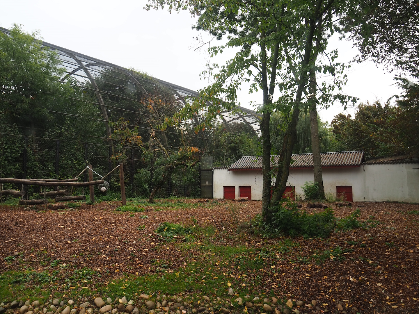 Now smaller Asian black bear exhibit, 2023-10-13
