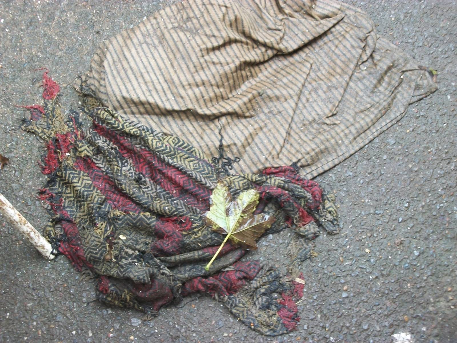 Now the cushion has got wet! 20th September 2014