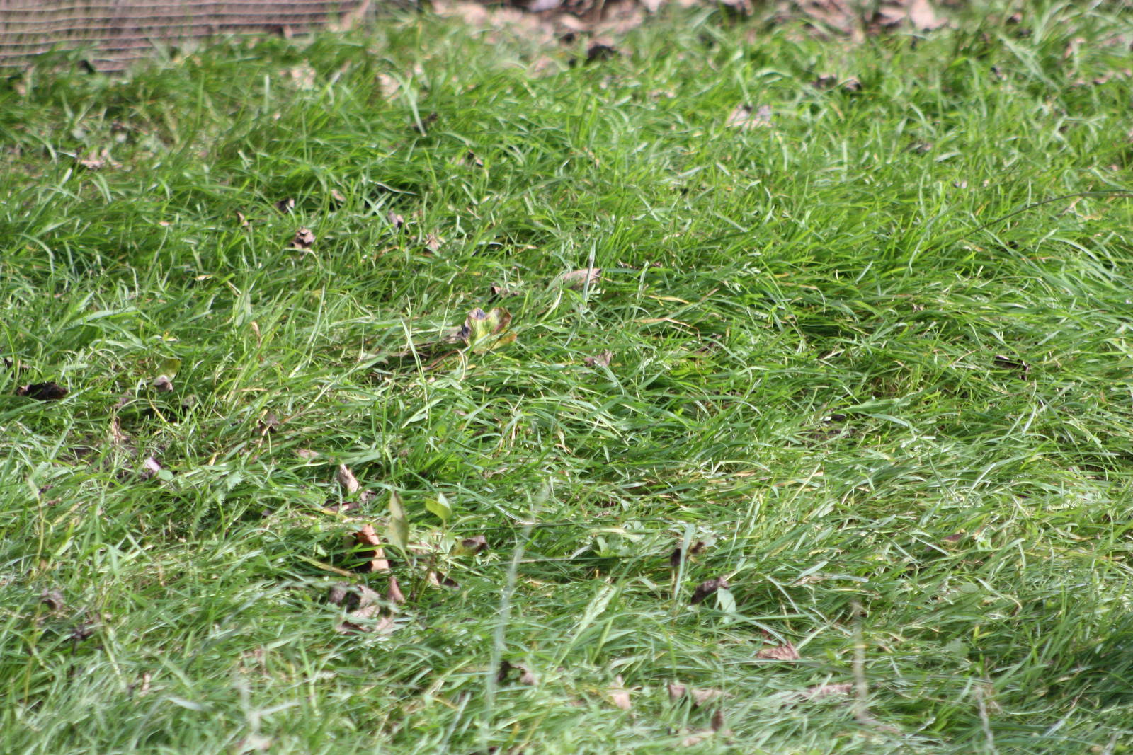 Now they have gone, 12th September 2014