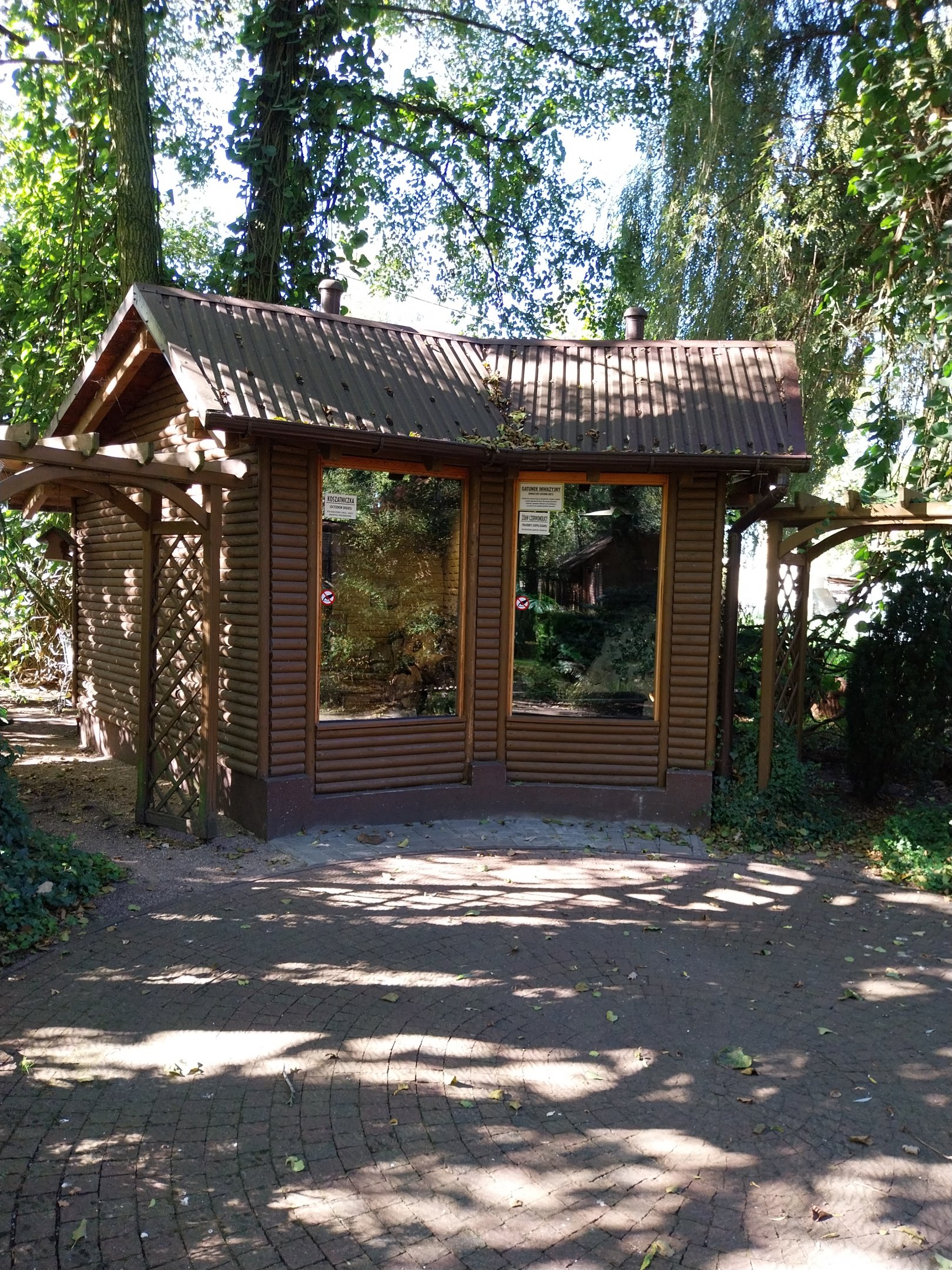 Nowy Tomysl Zoo - Degu (left) and red-eared slider (right)