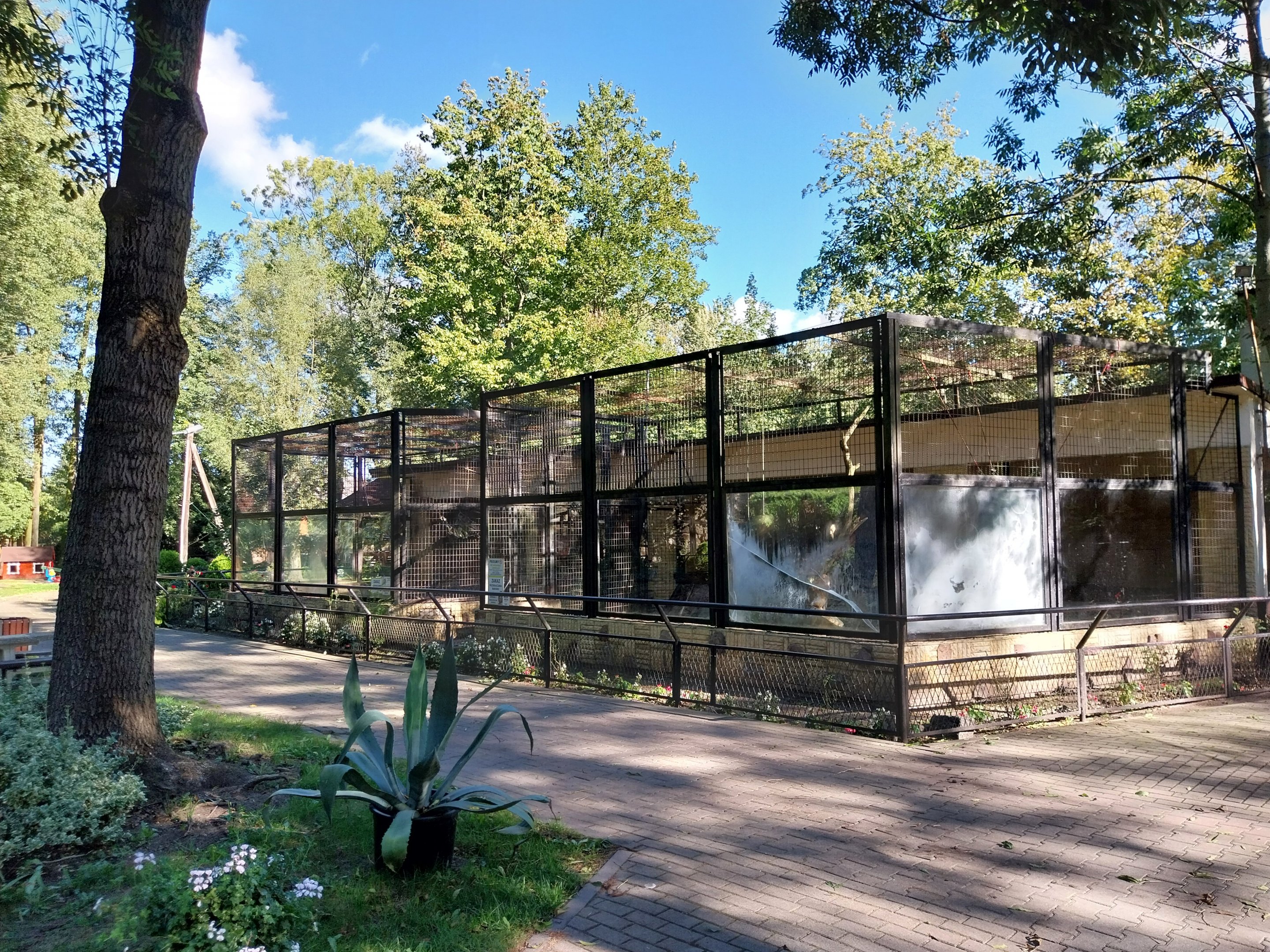 Nowy Tomysl Zoo - Japanese Macaque (left) and Rhesus Macaque (right)