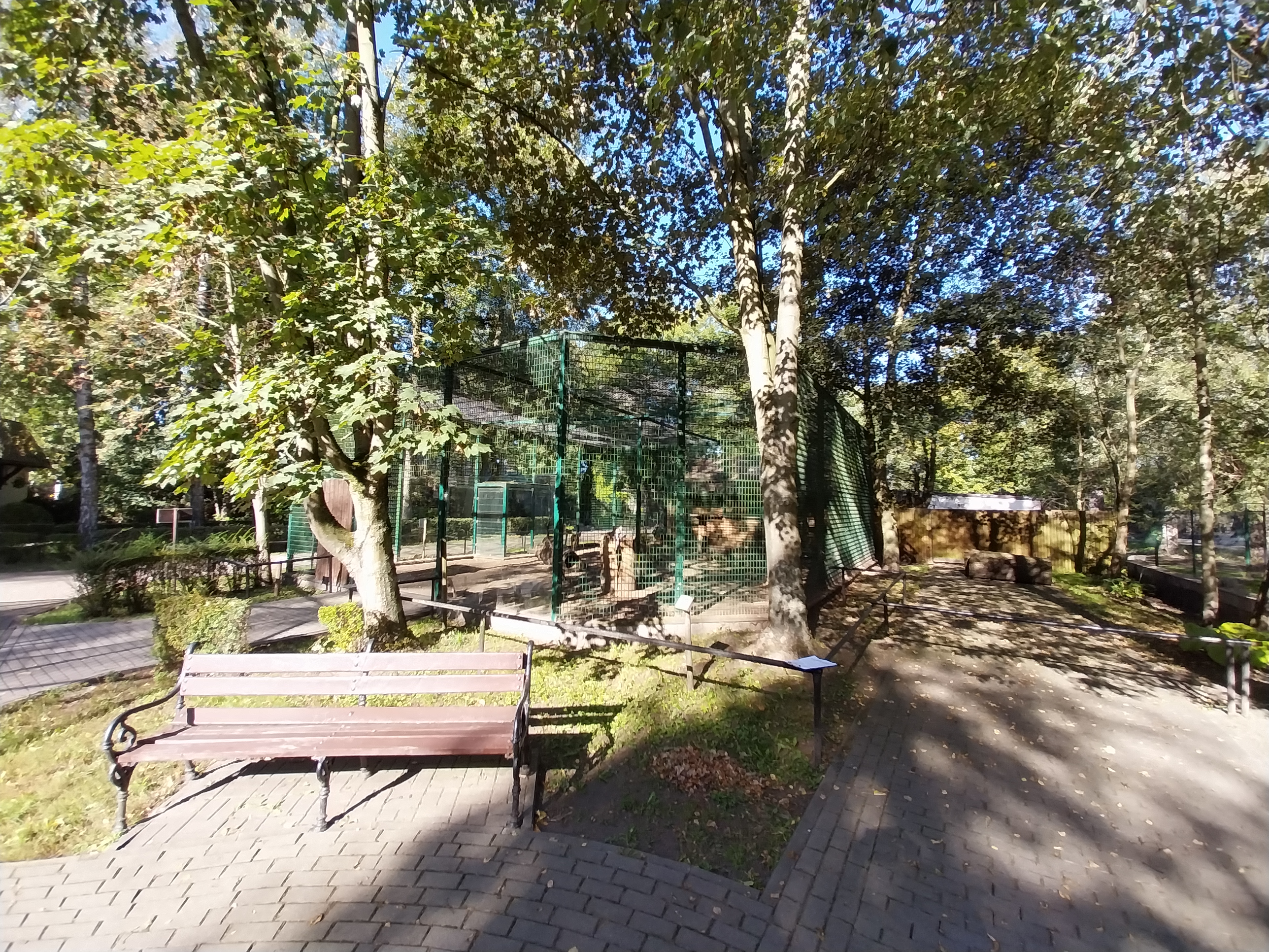 Nowy Tomysl Zoo - Northern Lynx (Lynx lynx lynx) enclosure