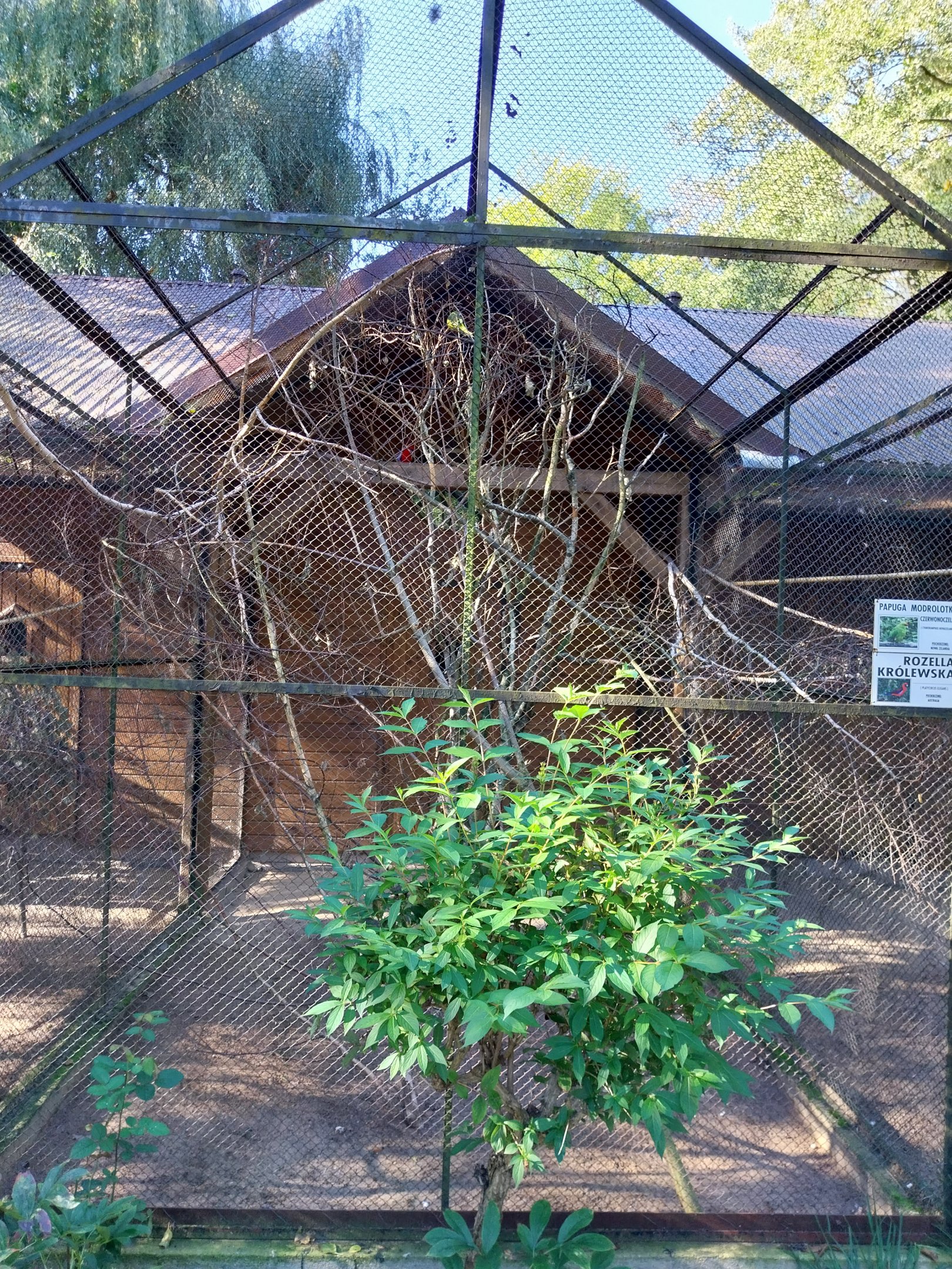 Nowy Tomysl Zoo - Parrots