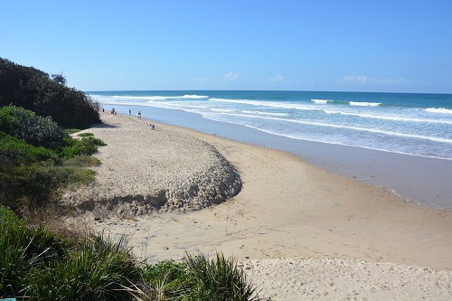 NSW Beach scene.