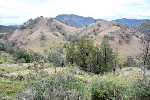 NSW mountain scenery 2