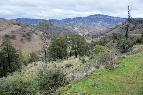 NSW mountain scenery