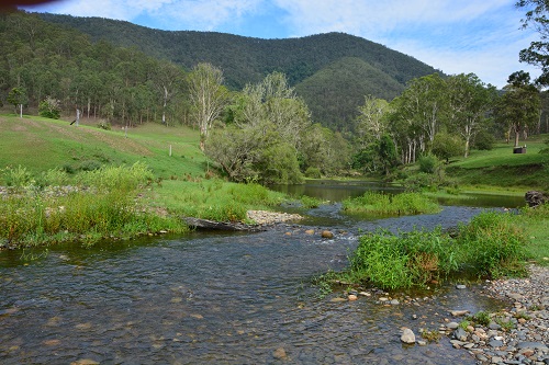 NSW river scene
