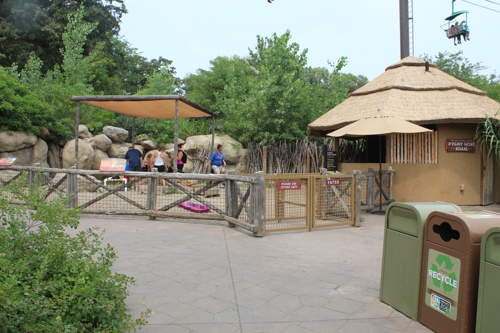 Nubian Dwarf Goat Petting Exhibit- African Grasslands