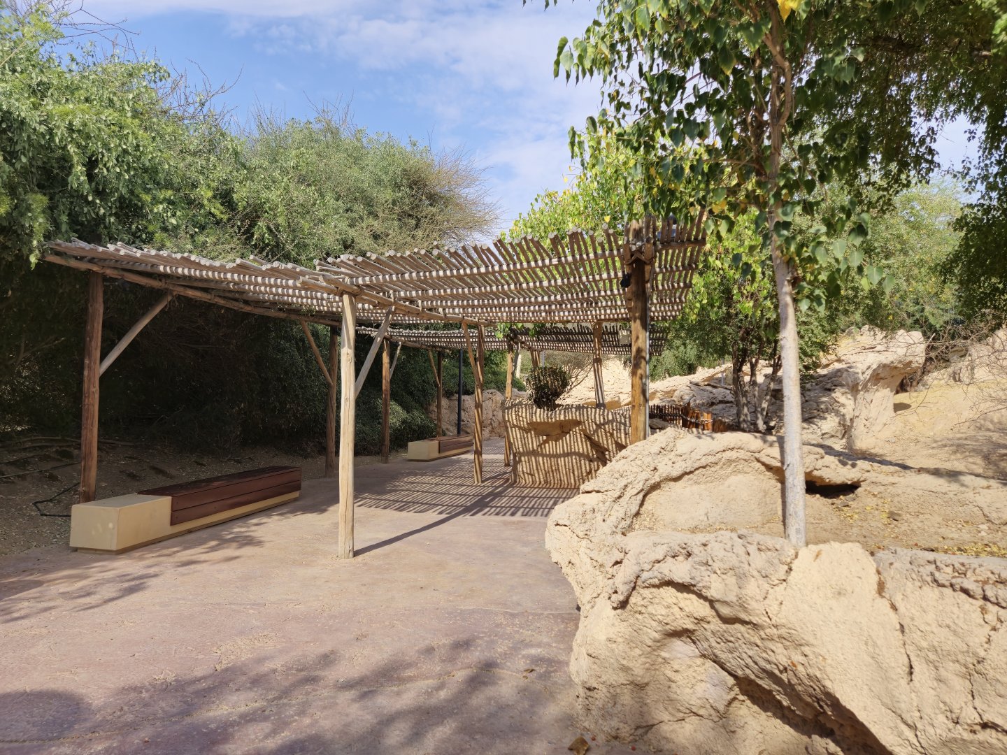 Nubian Ibex exhibit