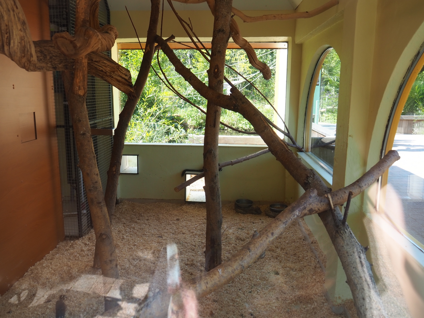 Nuboso bird and monkey indoor housing (Sep 2nd, 2018)