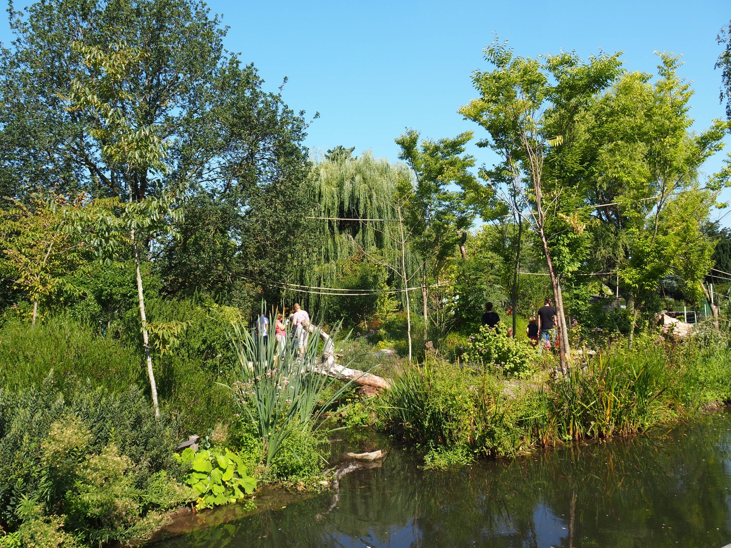 Nuboso exhibit (Sep 2nd, 2018)