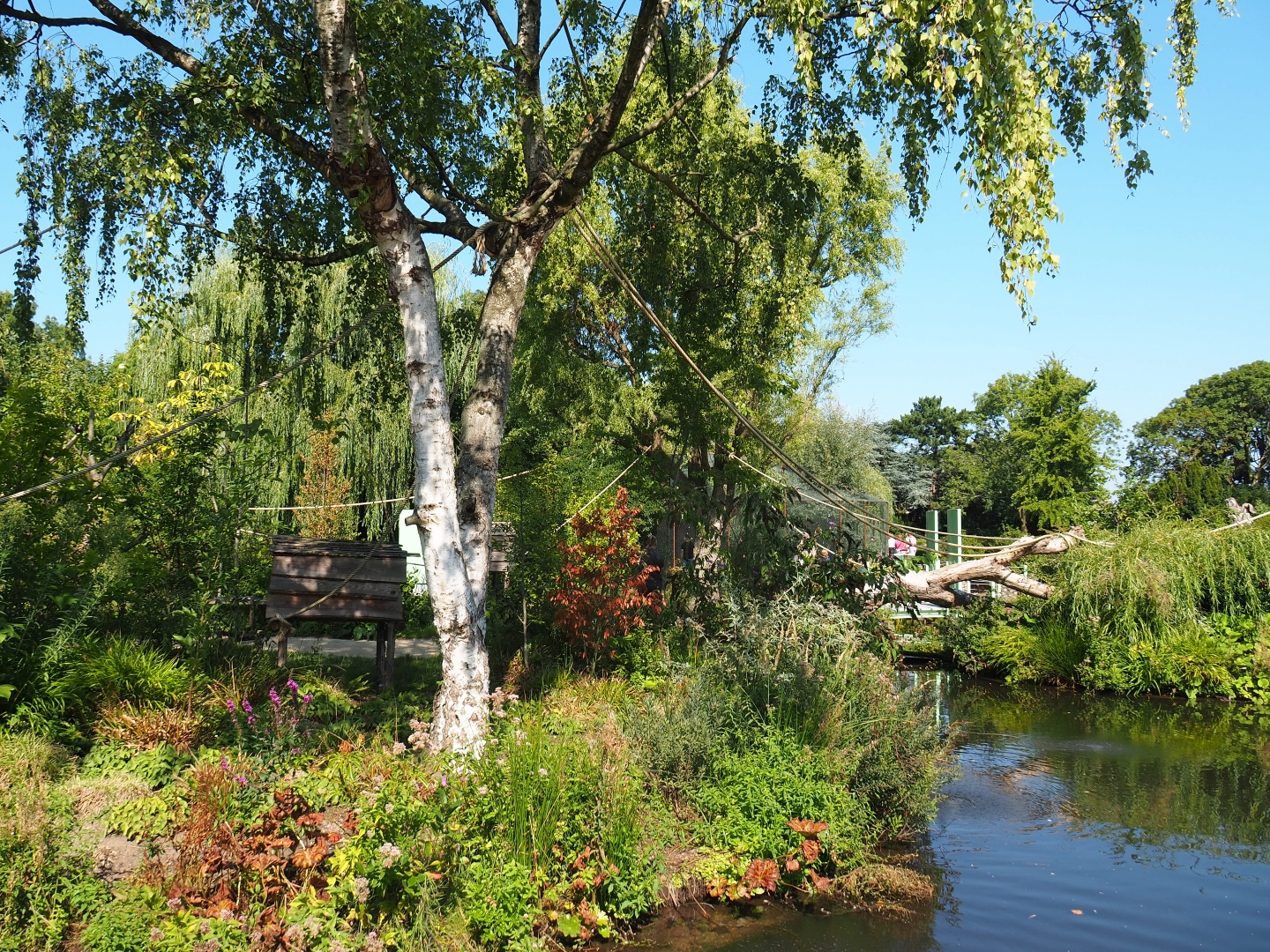 Nuboso exhibit (Sep 2nd, 2018)