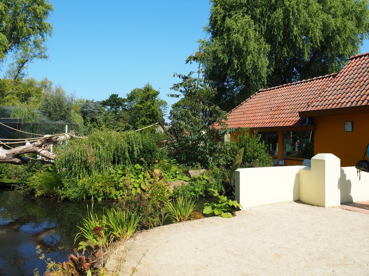 Nuboso exhibit (Sep 2nd, 2018)