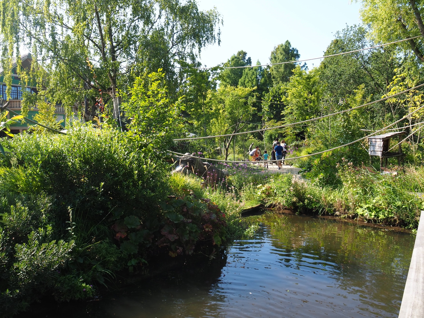 Nuboso exhibit (Sep 2nd, 2018)