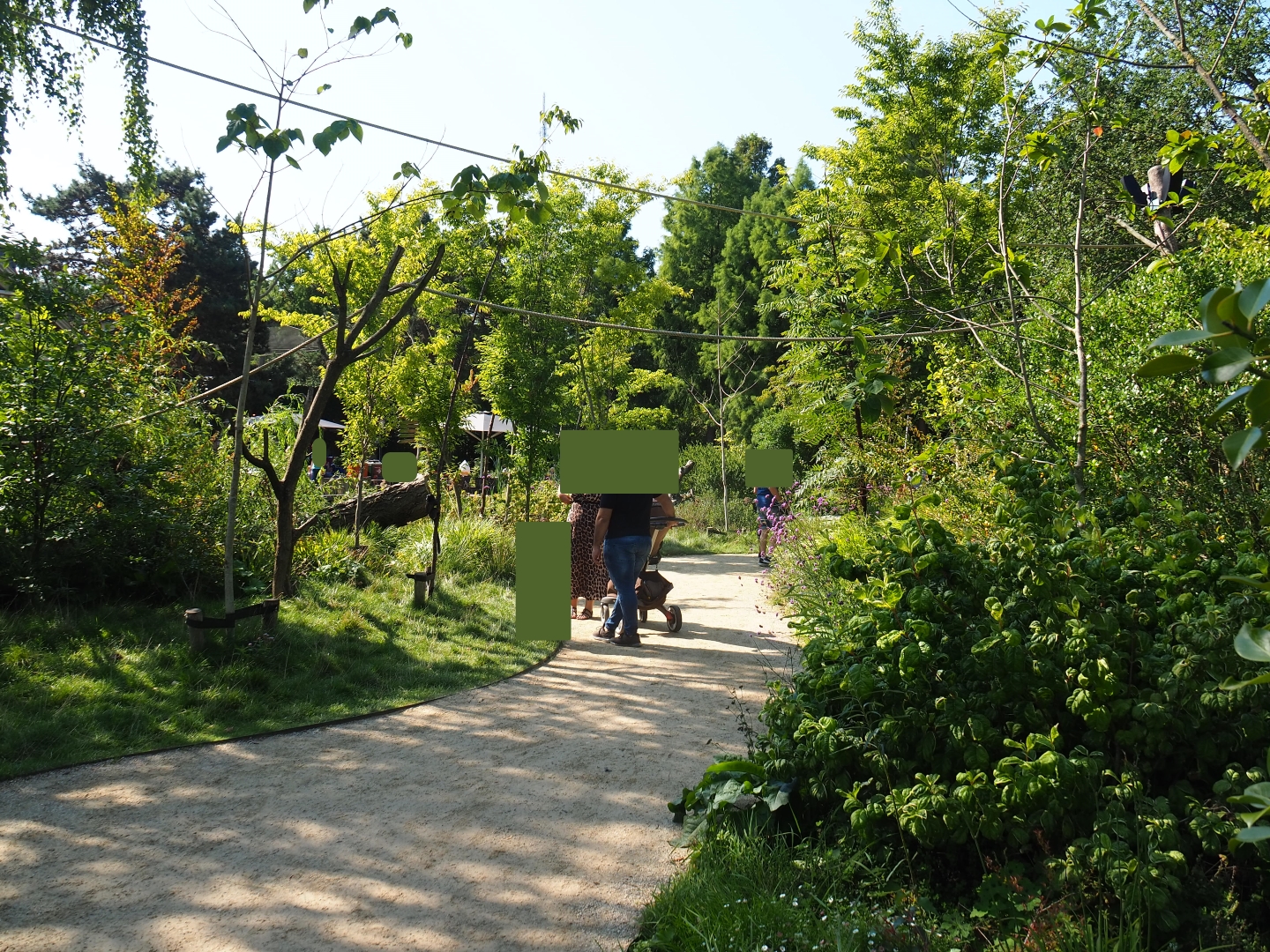 Nuboso exhibit (Sep 2nd, 2018)