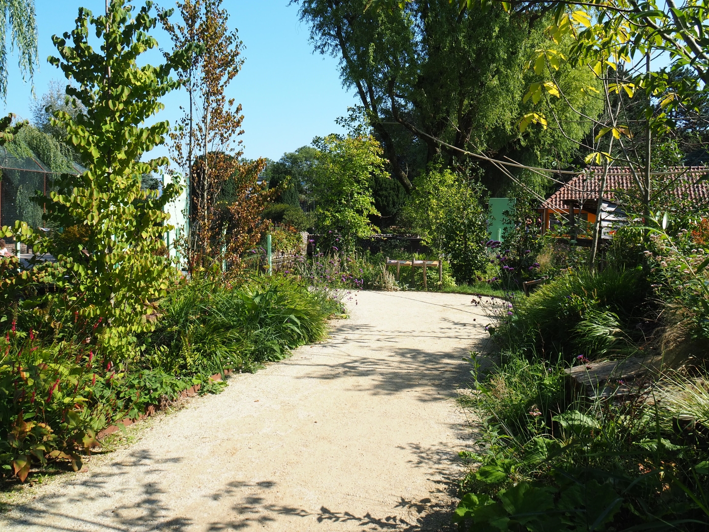 Nuboso exhibit (Sep 2nd, 2018)