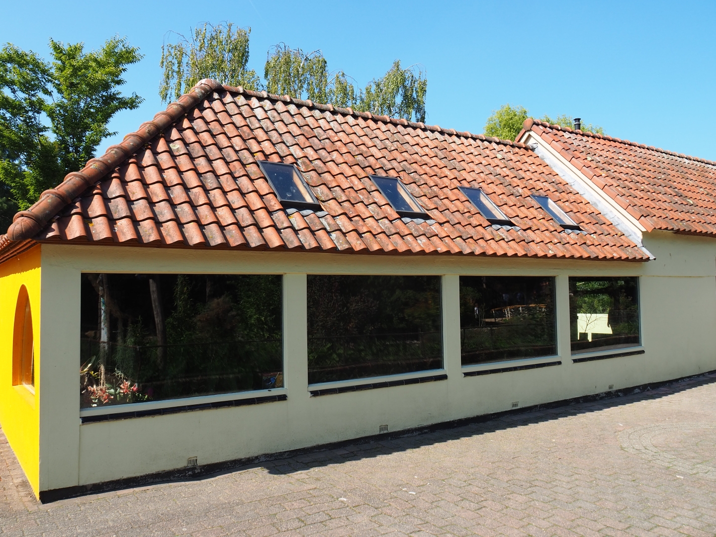 Nuboso house - Songbird exhibits (Sep 2nd, 2018)