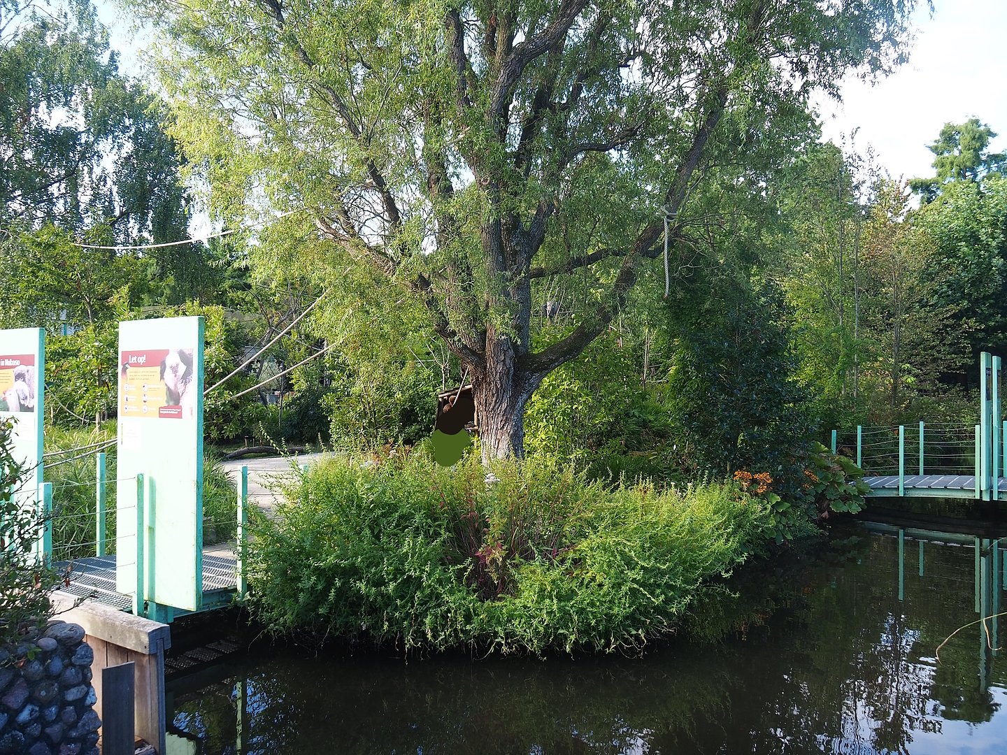 Nuboso monkey exhibit, 2022-08-28