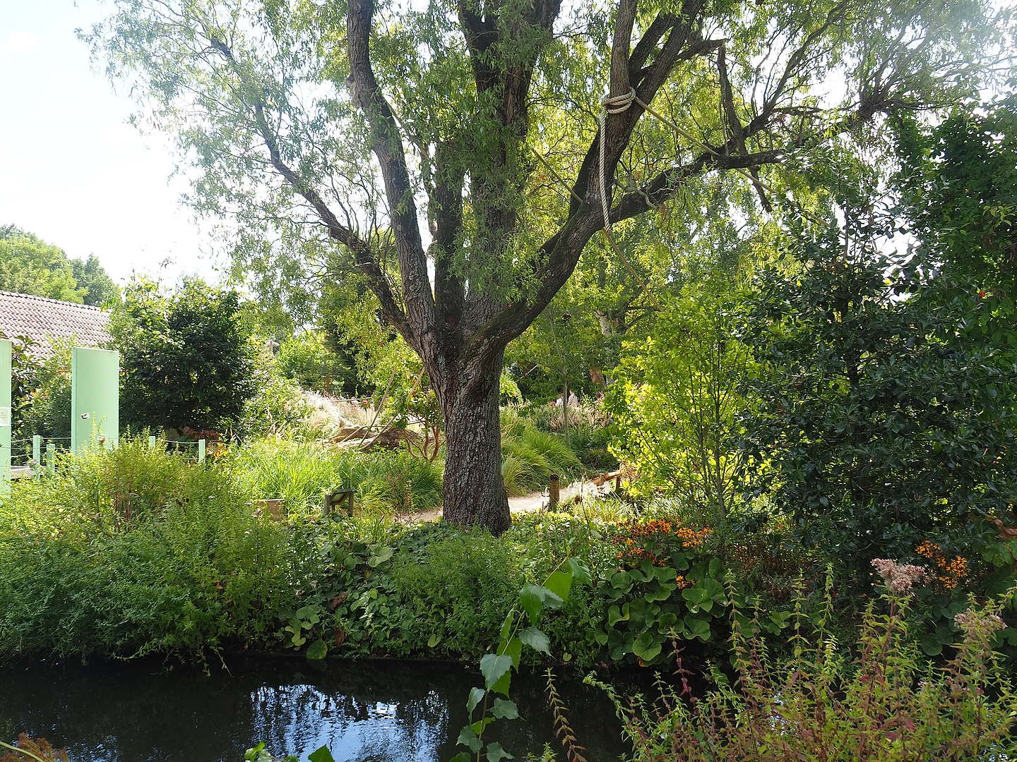 Nuboso monkey exhibit, 2022-08-28