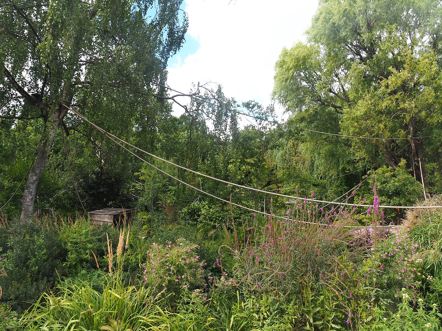 Nuboso monkey exhibit, 2022-08-28