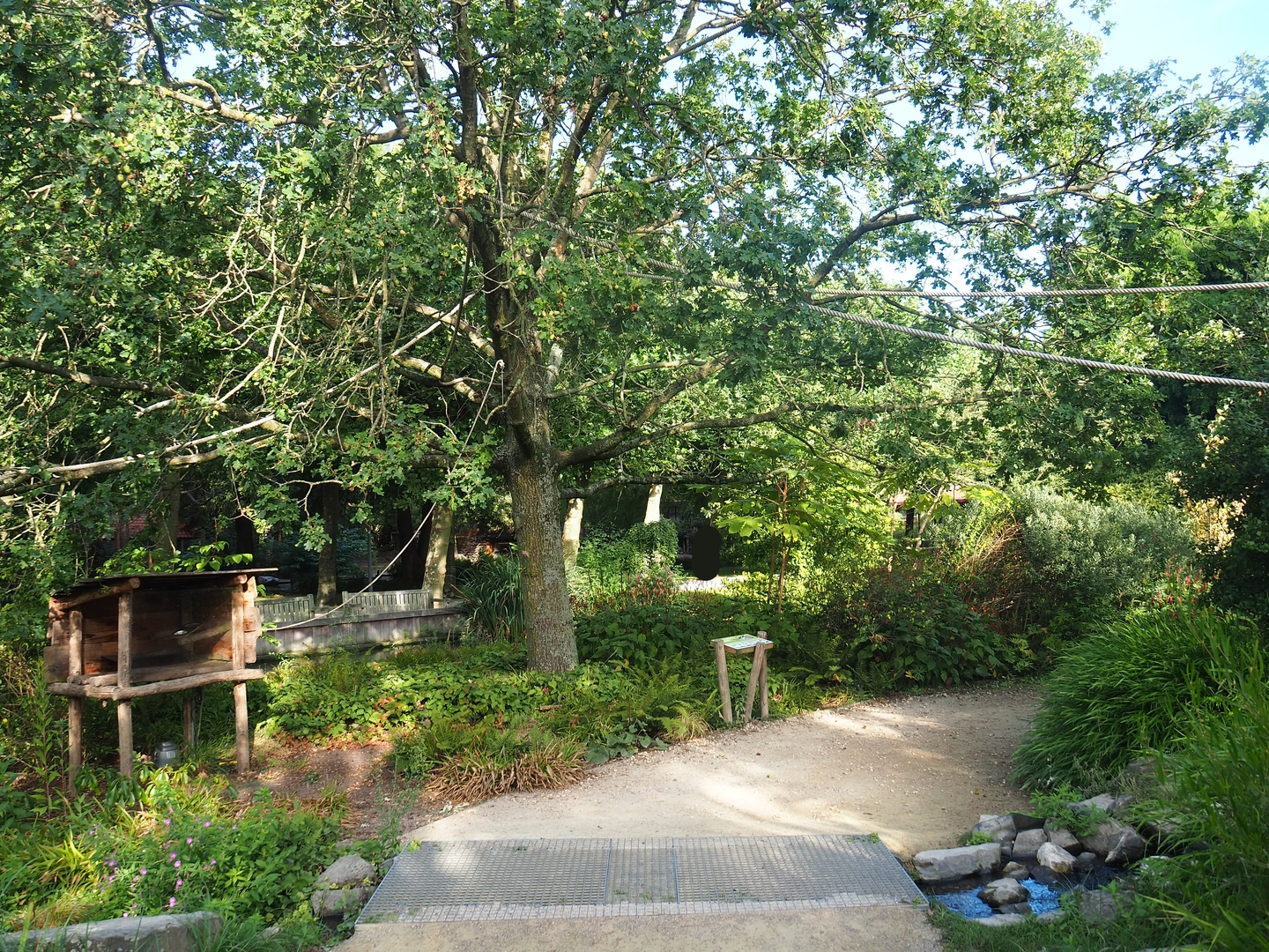 Nuboso monkey exhibit, 2022-08-28