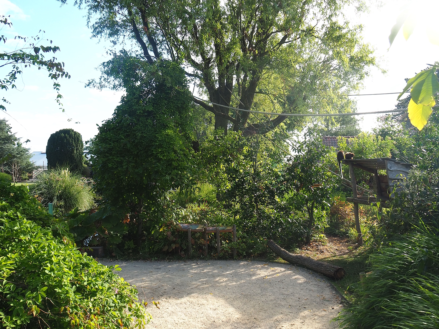 Nuboso monkey exhibit, 2022-08-28