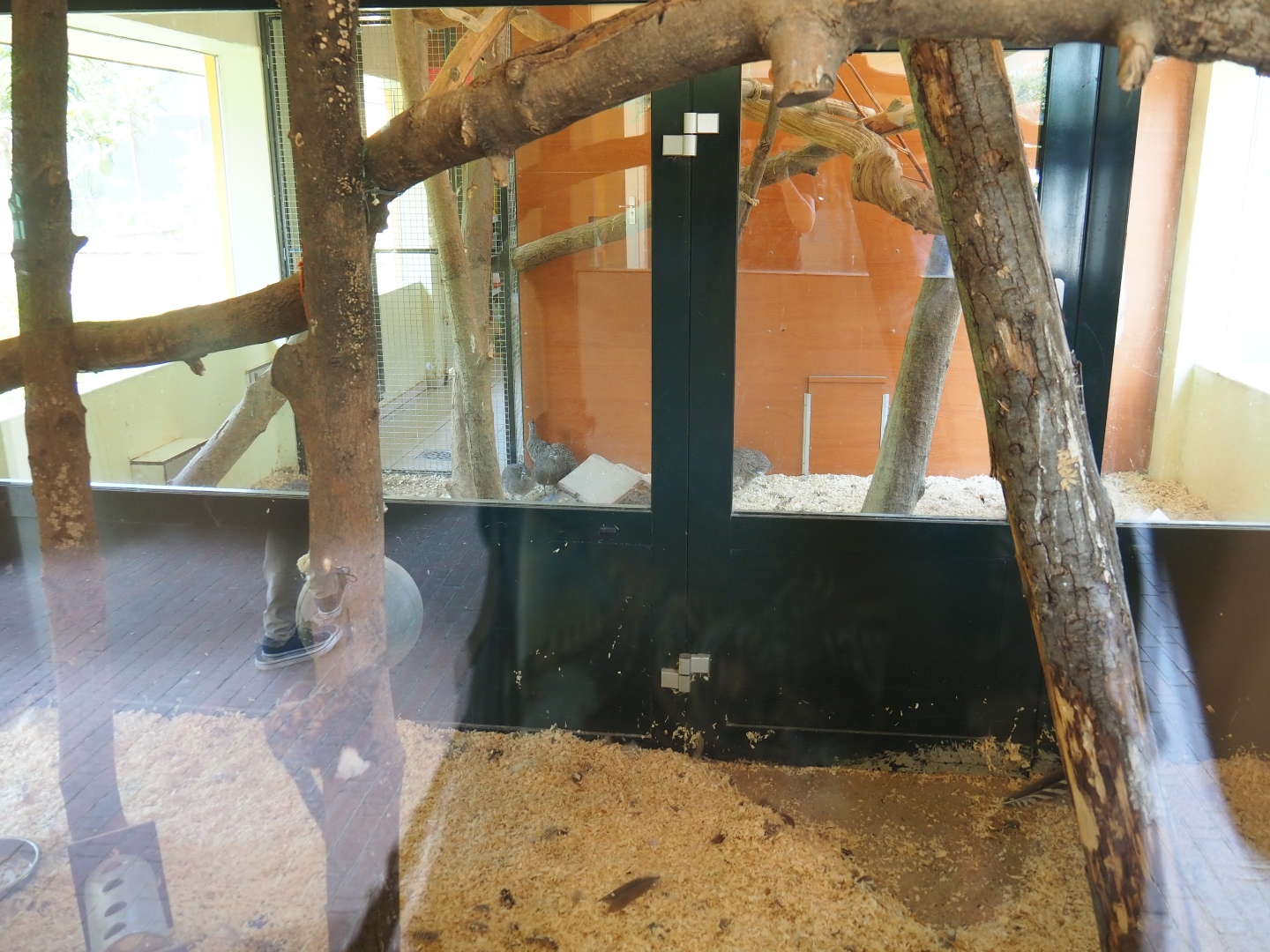 Nuboso - Part of indoor housing for birds and monkeys (Sep 2nd, 2018)