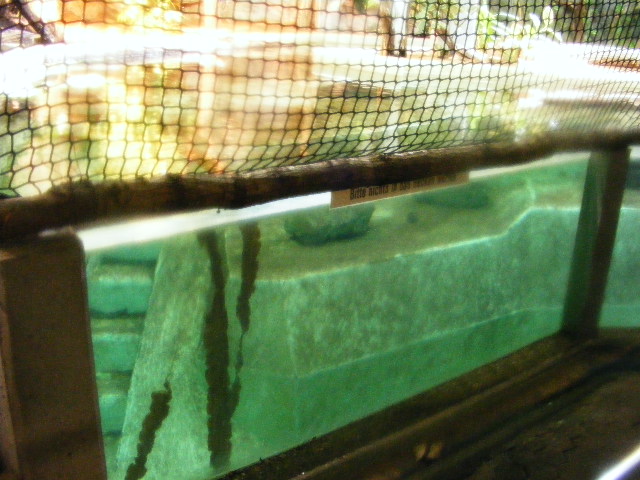 Nuernberg December 2012 - left part of old manatee pool