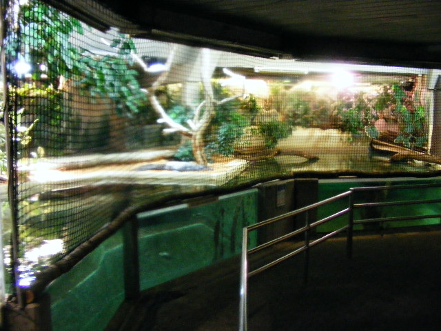 Nuernberg December 2012 - old manatee pool