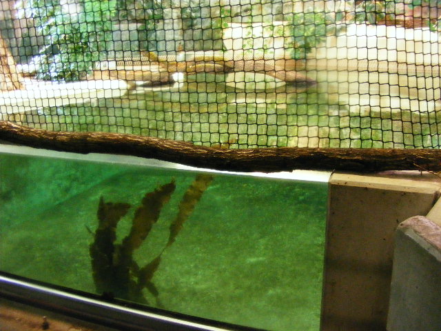 Nuernberg December 2012 - right part of old manatee pool