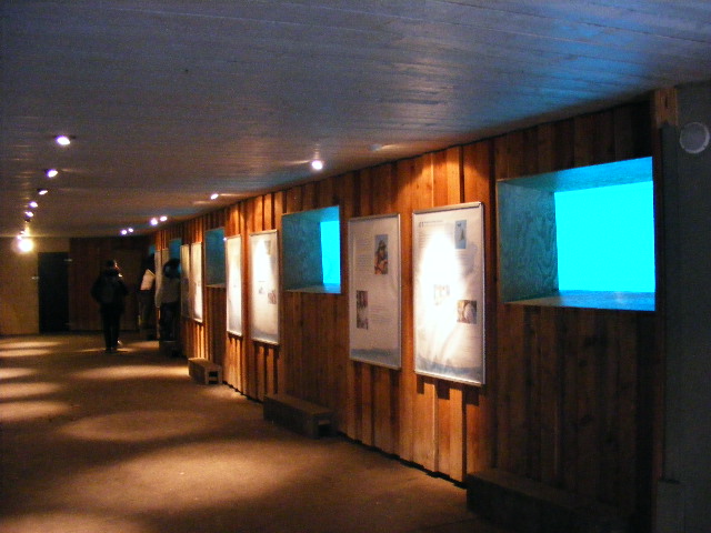 Nuernberg December 2012 - viewing old indoor dolphinarium (whole length of