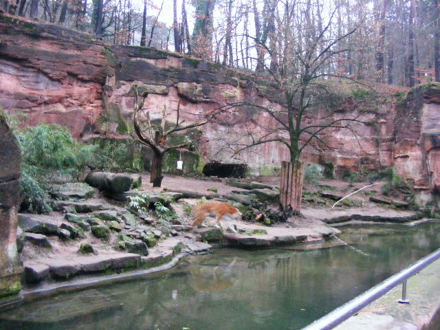 Nuernberg December 2012